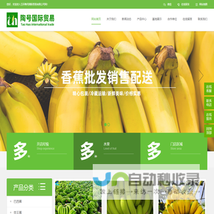 玉环香蕉批发,香蕉配送_玉环陶号国际贸易有限公司_玉环陶号国际贸易有限公司