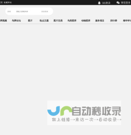 鸟网
